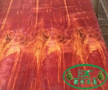 保兴木业酚醛建筑模板，红面建筑模板
