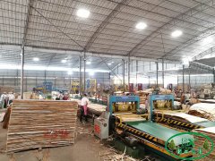广西建筑模板厂家:胶合板生产流程